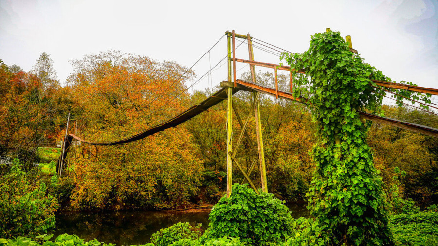 Welcome to the Land of Swinging Bridges