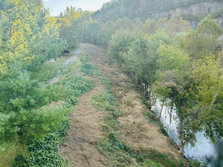 Goose Creek Riverbank Cleanup – Progress Update!