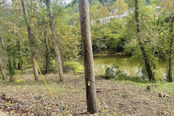 Goose Creek Riverbank Cleanup – Progress Update!