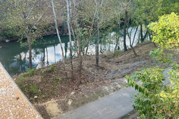 Goose Creek Riverbank Cleanup – Progress Update!