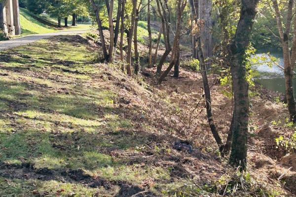 Goose Creek Riverbank Cleanup – Progress Update!