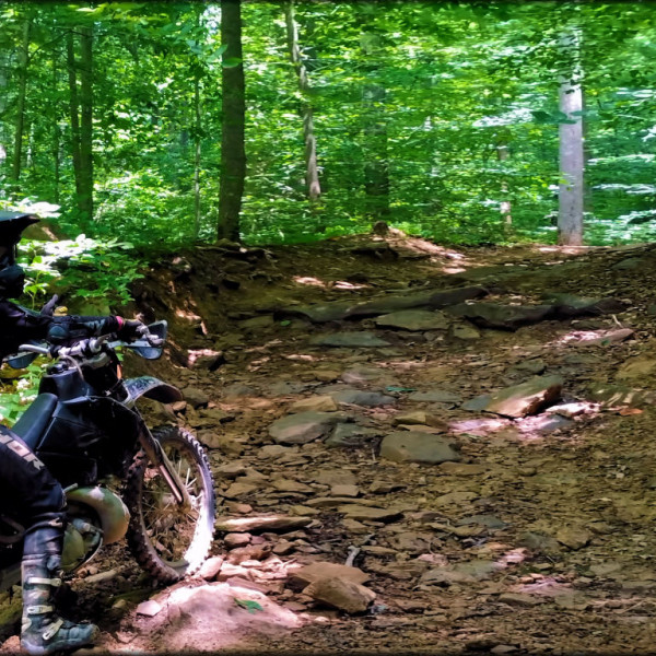 One Day in Manchester photo 4