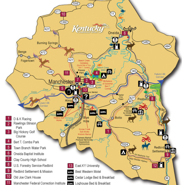 One Day in Manchester photo 6